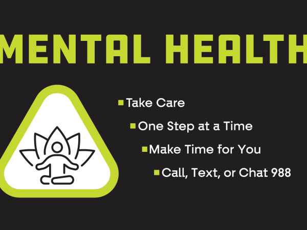 Graphic with green safety triangle and person with lotus leaves inside it. Words on the graphic say Mental Health: Take Care; One step at a time; Make time for you; and Reach out. 