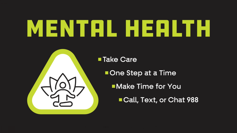 Graphic with green safety triangle and person with lotus leaves inside it. Words on the graphic say Mental Health: Take Care; One step at a time; Make time for you; and Reach out. 
